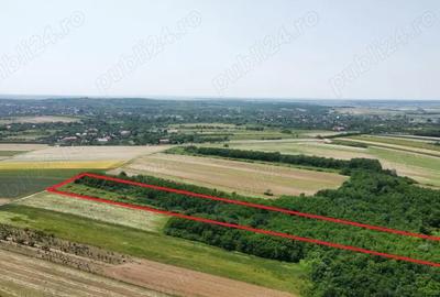 Teren de 15740 mp, în Central - 3