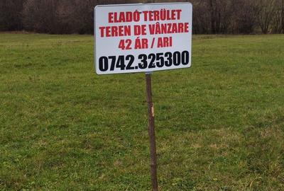 Teren de 4200 mp, în Exterior Vest - 2