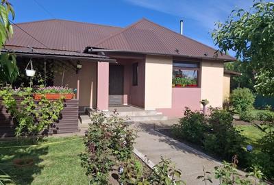 Casă cu 3 camere în Vișinii - 4