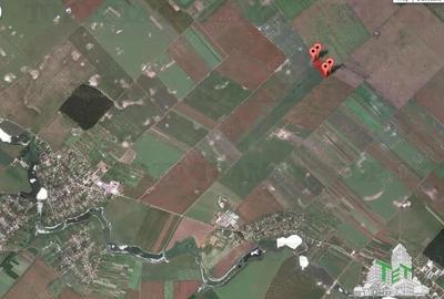 Oferim spre vanzare 5 loturi de teren extravilan (agricol) in Petrachioaia ILFOV la doar 5 euro mp. - 8