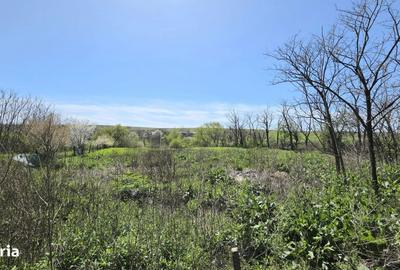 Spațiu comercial, în Sibioara - 3