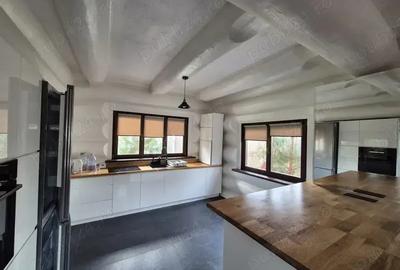 Casa speciala de vanzare , din busteni de lemn , 257.000 euro neg . - 8