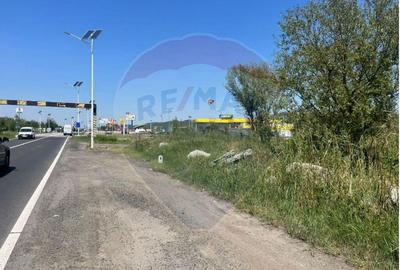 Teren Strategic in Vestem-Ideal pentru Dezvoltari Viitoare - 4