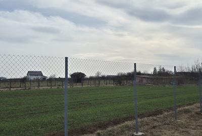 Caciulati, vanzare casa 3 camere la rosu, 1.000mp teren - 12