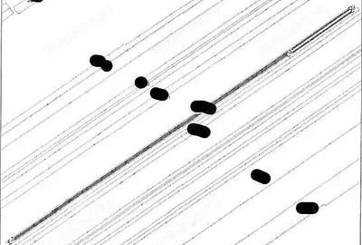 Teren extravilan Pietroasele, ID: R2586802 - 6