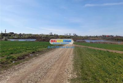 Teren intravilan de 5000 mp, în Balotești - 5