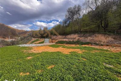 Teren de 5000 mp, în Tăuții-Măgherăuș - 5