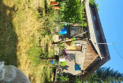 Casă cu 3 camere în Albina - 4