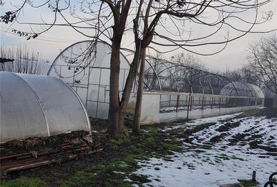 Casă cu 6 camere cu Teren 2350 Mp în Tântava - 9