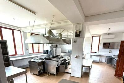 Hotel-pensiune in partea de Nord a Timisoarei - 7