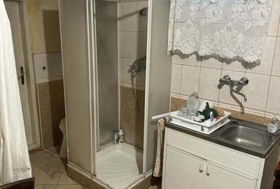 Casă cu 4 camere cu Teren 3611 Mp în Iratoșu - 9