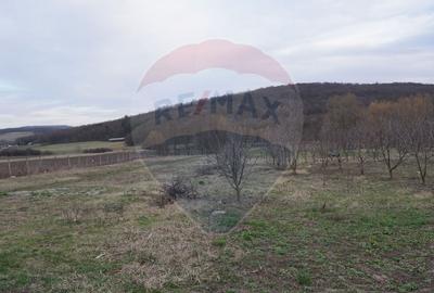 Teren Construcții intravilan de 517 mp, în Vest - 2