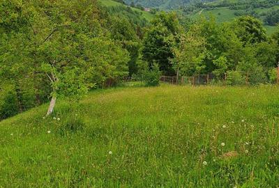 Teren extravilan sat pestera jud brasov - 1