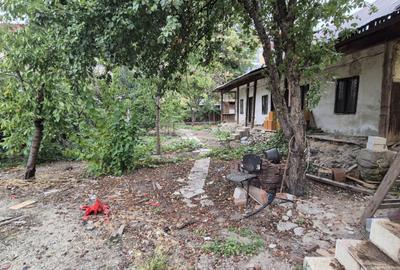 Imobil situat in zona centrala - Aleea Zorilor - 8