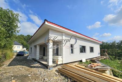 Casa individuala in apropiere de Padure - 1