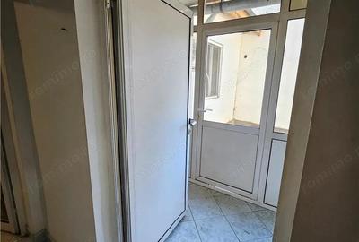 Doua case vecine, cu vad, in Bucure #537;ti, Tineretului, Parcul Carol - 13