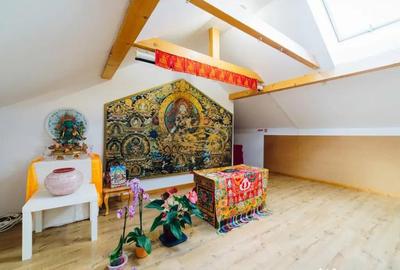 Casă cu 12 camere cu Teren 19841 Mp în Vale - 18