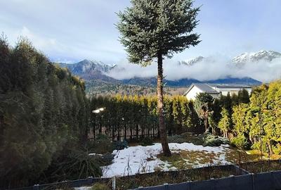 Vila P+M de vanzare in Busteni , cartier Piatra Arsa - 1