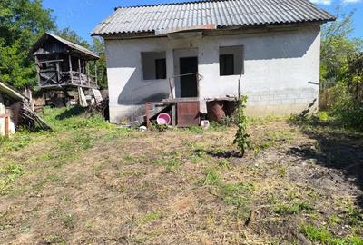 Gospodarie in Jud. Valcea, com. Pe?ceana, sat Ursoaia, 2 case ?i anexe Gospodarie in Jud. Valcea, com. Pe?ceana, sat Ursoaia, 2 case ?i anexe - 2