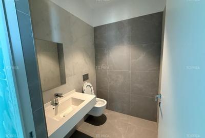 Spatiu comercial parter herestrau verdi - 13