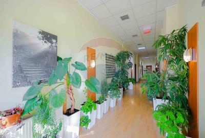 Spațiu industrial, de 1,230 mp, în Exterior Vest - 23