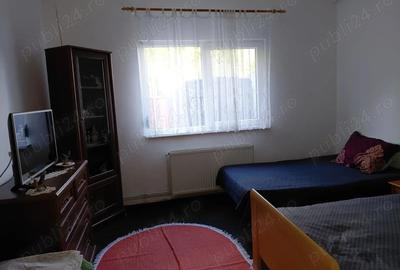 Vand casa batraneasca - 5