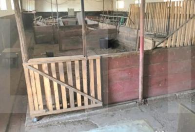 Casă cu 4 camere cu Teren 5500 Mp în Central