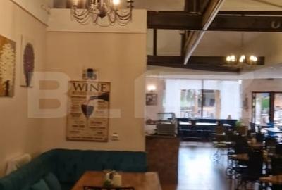 Restaurant de vanzare, 688 mp, zona Parcului Chindia - 7