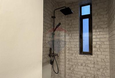 INCHIRIERE Apartament cu 3 camere in zona Dacia - 14