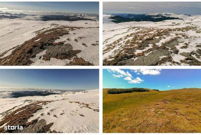 Spațiu comercial, în Sud