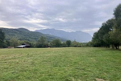 Teren de 3880 mp, în Cheia - 8