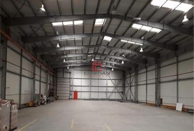 Depozit/hala/spatiu industrial Domnesti - Centura, ILFOV - 7