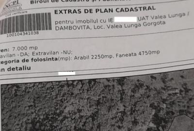 Teren 7000mp Pucioasa - Zona Pitoreasca - 5