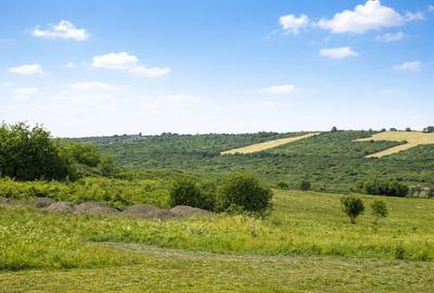 Teren Construcții intravilan de 903 mp, în Paleu - 2