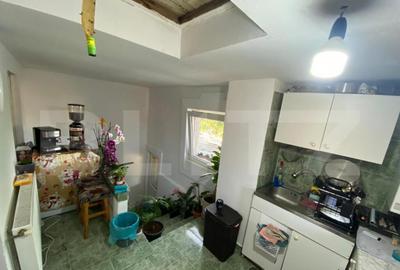 Duplex cu 2 camere de vanzare in Copaceni - 26