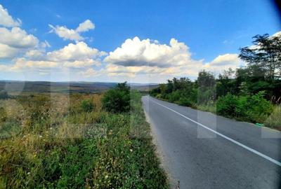 Teren intravilan de 5800 mp, situat in Padureni - 3