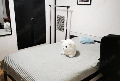 Persoana fizica vand casa in Timi?oara - 3