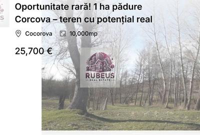 Spațiu comercial, în Cerneți - 6