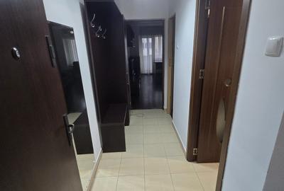 Apartament cu 2 camere decomandat, mobilat în Lujerului - 14