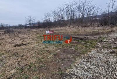 Teren de 1091 mp, în Cetate - 4