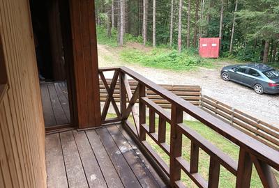 Vanzare cabană Valea Doftanei, izolata, libera, fosta in circuit, ingrijita - 5