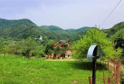 Teren Sacaramb,la20 km deDeva,jud.Hunedoara,comision0 - 3