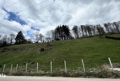 Spațiu comercial, în Nămăești - 4