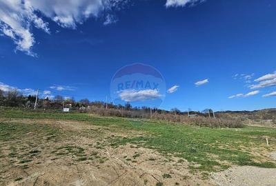 15 parcele de 1000 mp de vanzare in Breaza Prahova- toate... - 2