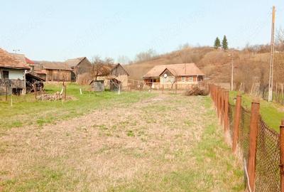 Casă cu 3 camere cu Teren 1400 Mp în Căcuciu - 2
