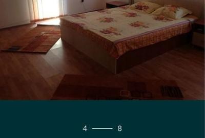 Apartament cu 3 camere decomandat în Beba Veche - 6