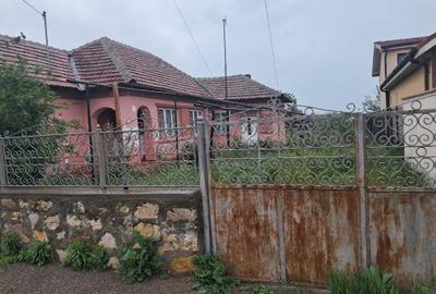 Teren Construcții intravilan de 1188 mp, în Palazu Mare - 2