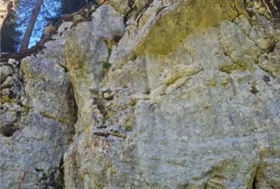 Teren de 6000 mp, în Dobrești - 3