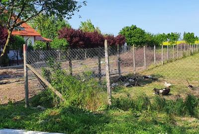 Teren de 1000 mp, în Oituz - 7