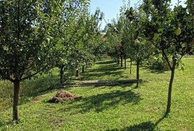 Casa de vacan?a in Ludu?, zona Candarai intre Cluj ?i Tg-Mure? - 3